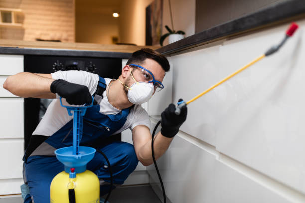 Best Pest Prevention Services  in Cabool, MO