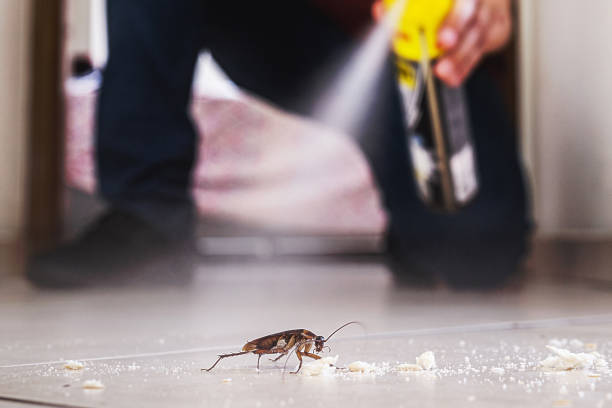 Wildlife Control Services in Cabool, MO