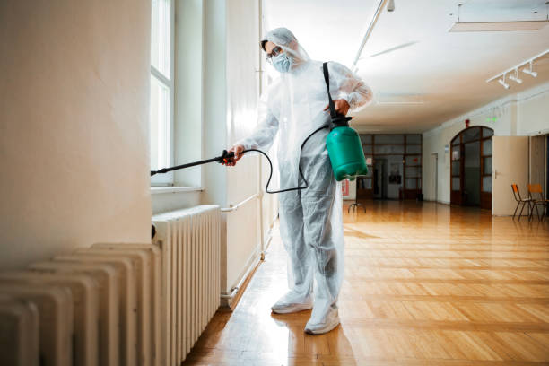 Wasp Removal Services in Cabool, MO